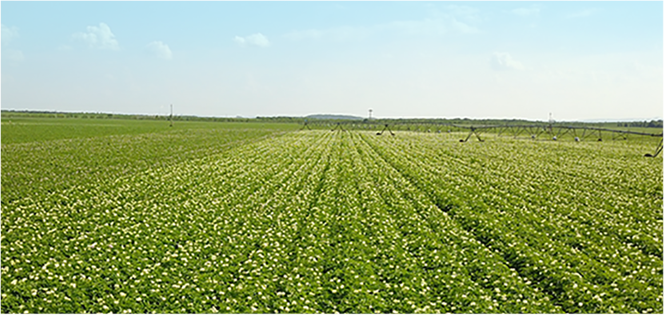 新利体育luck18·(中国)官方网站