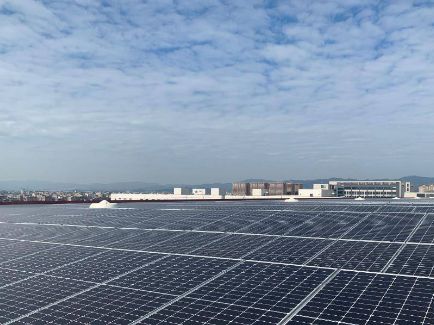 新利体育luck18·(中国)官方网站